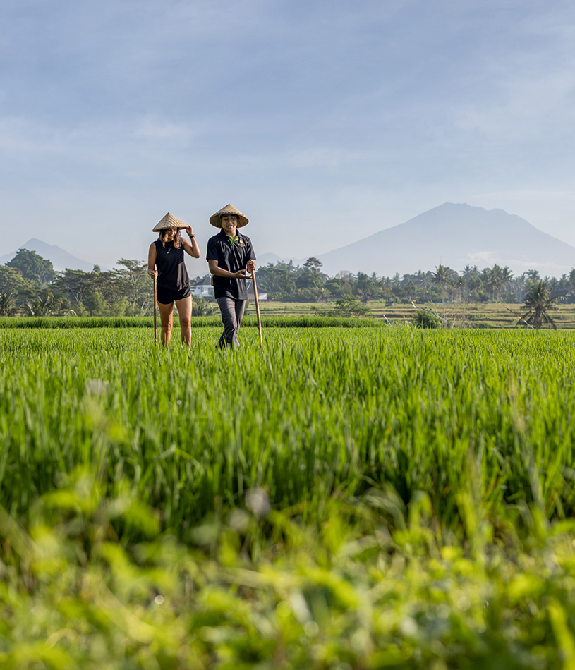 Explore Ubud Package