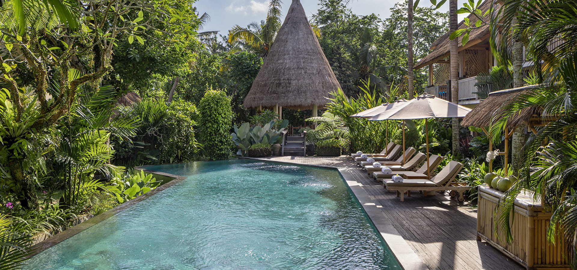 Member Privilege Rate